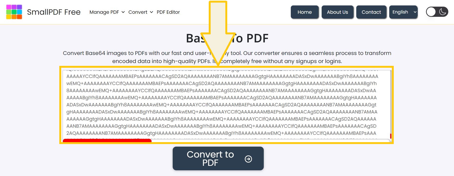 Input Base64 code for PDF conversion.